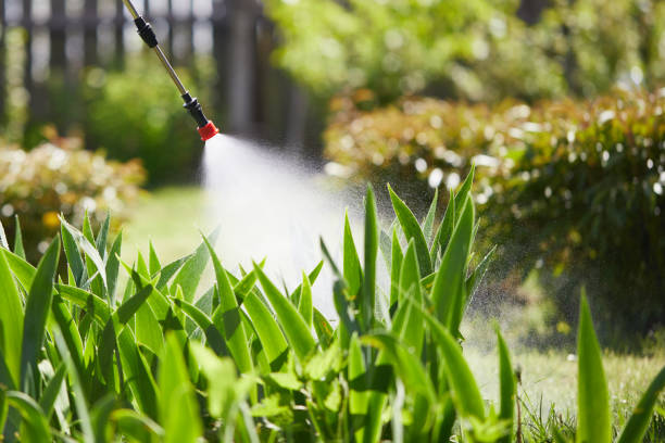 24/7 Emergency Termite Control experts in Monette, AR